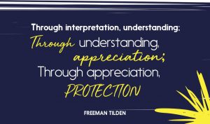 white and yellow text on a blue background with a yellow star in the corner 'Through interpretation, understanding, through understanding appreciation, through appreciation, protection. Freeman Tilden'